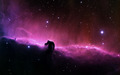 horsehead_nebula.jpg