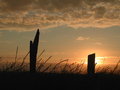 stones_of_stenness.jpg